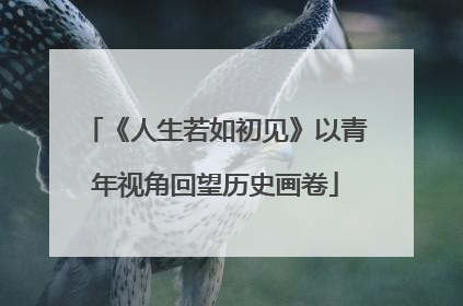 《人生若如初见》以青年视角回望历史画卷