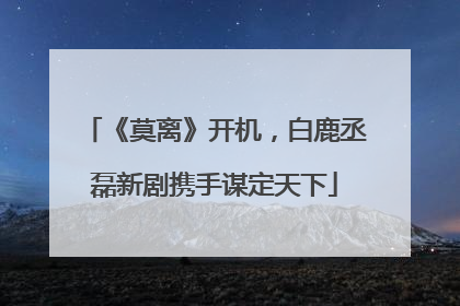 《莫离》开机，白鹿丞磊新剧携手谋定天下