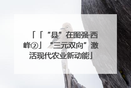 「“县”在图强·西峰②」“三元双向”激活现代农业新动能