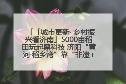 「城市更新· 乡村振兴看济南」5000亩稻田玩起黑科技 济阳“黄河·稻乡湾”靠“非遗+露营”火出圈