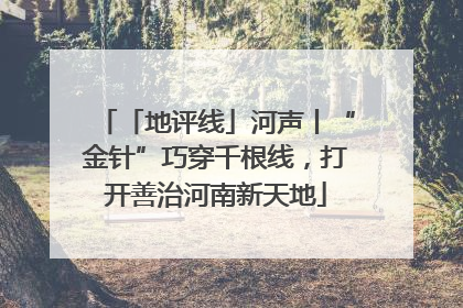 「地评线」河声丨“金针”巧穿千根线，打开善治河南新天地