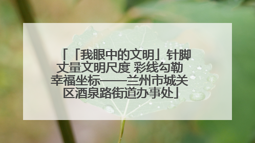 「我眼中的文明」针脚丈量文明尺度 彩线勾勒幸福坐标——兰州市城关区酒泉路街道办事处