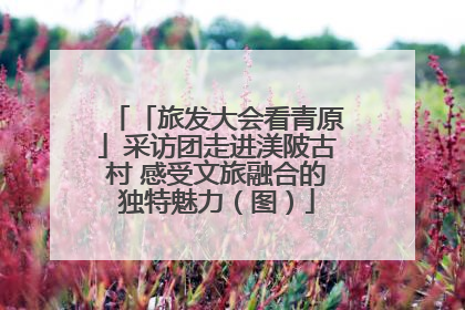 「旅发大会看青原」采访团走进渼陂古村 感受文旅融合的独特魅力（图）