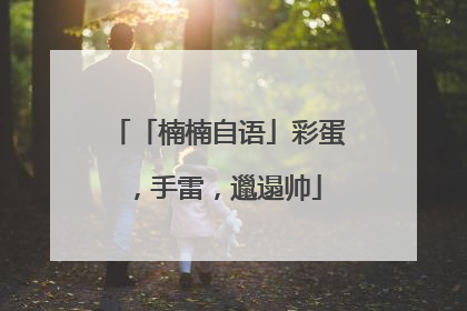 「楠楠自语」彩蛋，手雷，邋遢帅