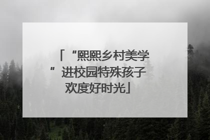 “熙熙乡村美学”进校园特殊孩子欢度好时光