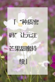 “种质密码”让元江芒果甜蜜持续
