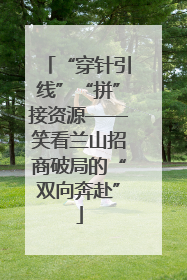 “穿针引线”“拼”接资源——笑看兰山招商破局的“双向奔赴”