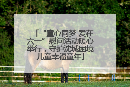 “童心同梦 爱在六一”慰问活动暖心举行，守护沈城困境儿童幸福童年