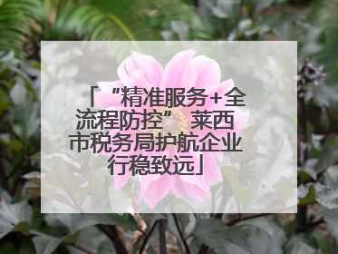 “精准服务+全流程防控” 莱西市税务局护航企业行稳致远