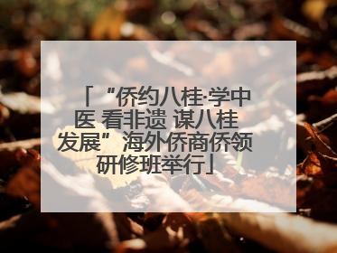 “侨约八桂·学中医 看非遗 谋八桂发展”海外侨商侨领研修班举行