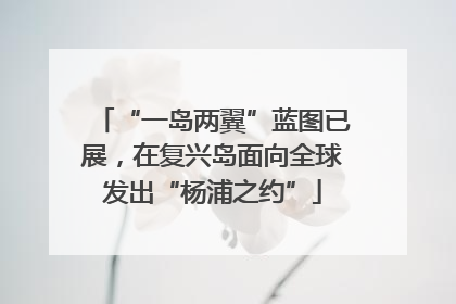 “一岛两翼”蓝图已展，在复兴岛面向全球发出“杨浦之约”