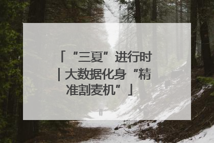 “三夏”进行时｜大数据化身“精准割麦机”