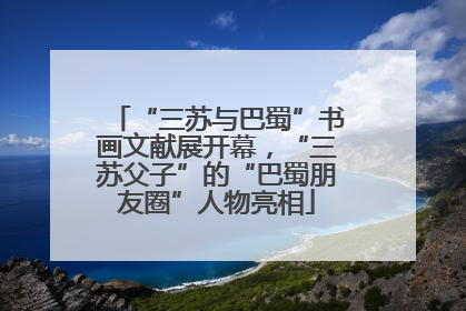 “三苏与巴蜀”书画文献展开幕，“三苏父子”的“巴蜀朋友圈”人物亮相