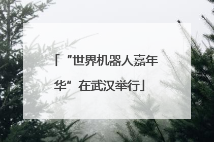 “世界机器人嘉年华”在武汉举行