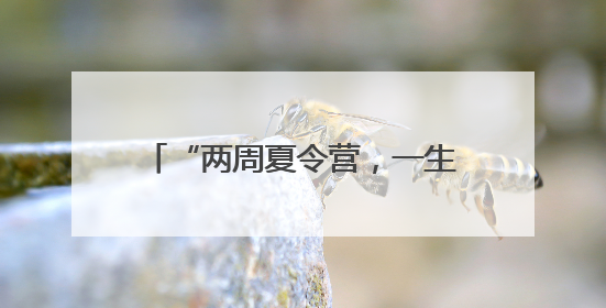 “两周夏令营，一生战友情”！老兵：最看不得这场面……