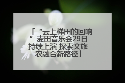 “云上梯田的回响”麦田音乐会29日持续上演 探索文旅农融合新路径