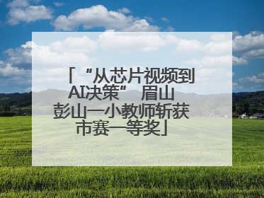 “从芯片视频到AI决策” 眉山彭山一小教师斩获市赛一等奖