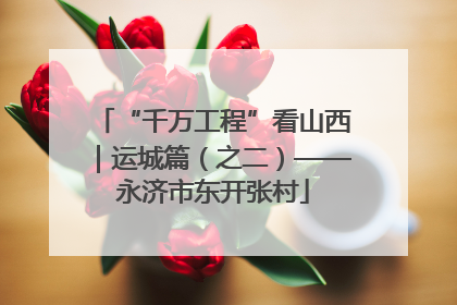 “千万工程”看山西｜运城篇（之二）——永济市东开张村