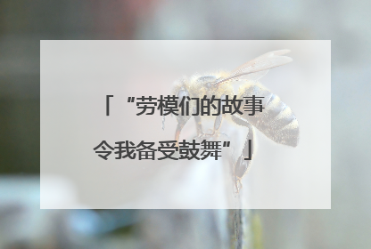 “劳模们的故事令我备受鼓舞”