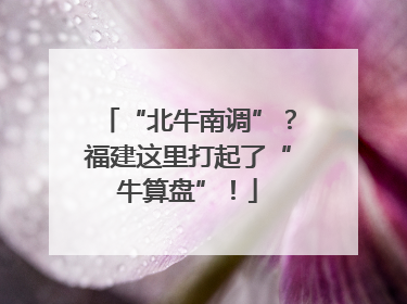 “北牛南调”？福建这里打起了“牛算盘”！