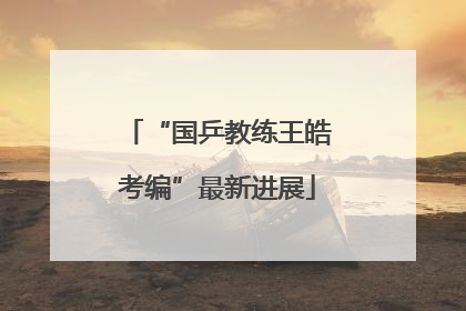 “国乒教练王皓考编”最新进展