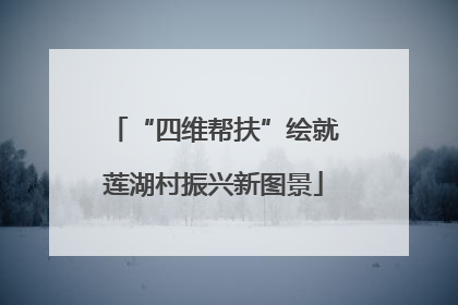 “四维帮扶”绘就莲湖村振兴新图景
