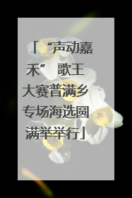 “声动嘉禾” 歌王大赛普满乡专场海选圆满举举行