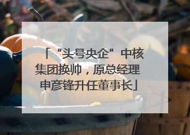 “头号央企”中核集团换帅，原总经理申彦锋升任董事长