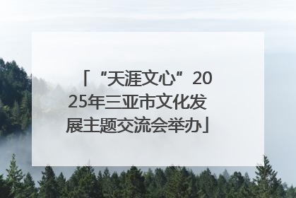 “天涯文心”2025年三亚市文化发展主题交流会举办
