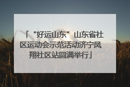 “好运山东”山东省社区运动会示范活动济宁凤翔社区站圆满举行