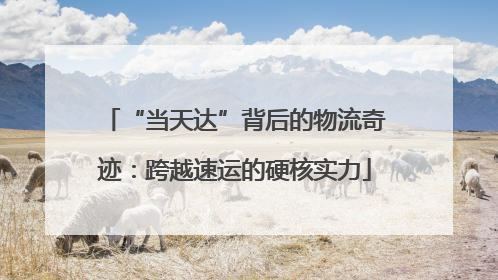 “当天达”背后的物流奇迹：跨越速运的硬核实力