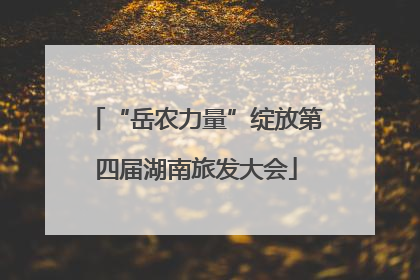 “岳农力量”绽放第四届湖南旅发大会