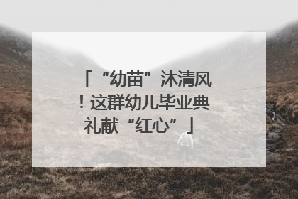 “幼苗”沐清风！这群幼儿毕业典礼献“红心”