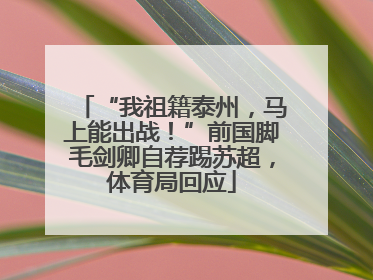 “我祖籍泰州，马上能出战！”前国脚毛剑卿自荐踢苏超，体育局回应
