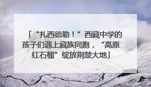 “扎西德勒！”西藏中学的孩子们遇上藏族同胞，“高原红石榴”绽放荆楚大地