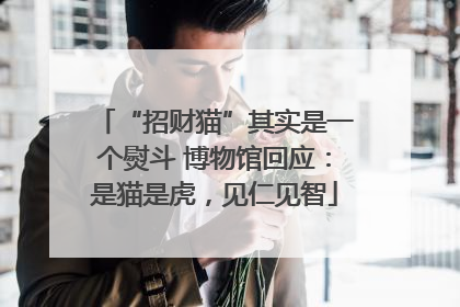 “招财猫”其实是一个熨斗 博物馆回应：是猫是虎，见仁见智