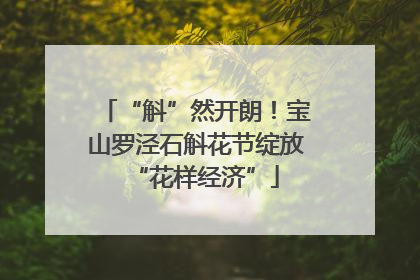 “斛”然开朗！宝山罗泾石斛花节绽放“花样经济”