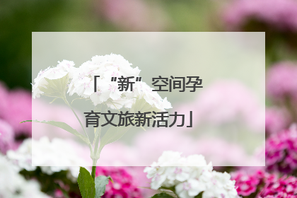 “新”空间孕育文旅新活力