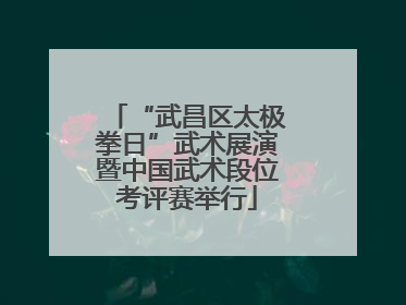 “武昌区太极拳日”武术展演暨中国武术段位考评赛举行