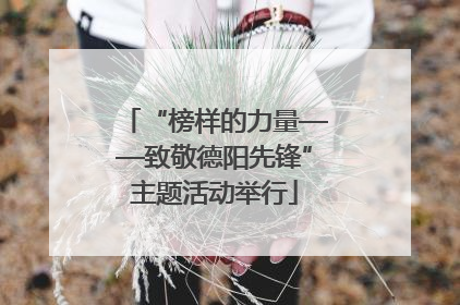 “榜样的力量——致敬德阳先锋”主题活动举行