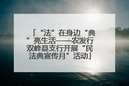 “法”在身边“典”亮生活——农发行双峰县支行开展“民法典宣传月”活动