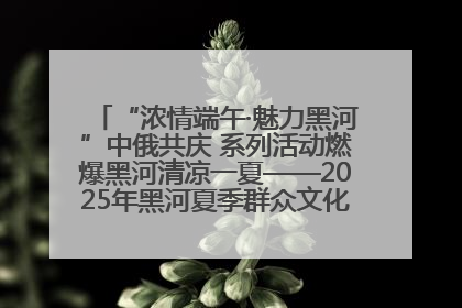 “浓情端午·魅力黑河”中俄共庆 系列活动燃爆黑河清凉一夏——2025年黑河夏季群众文化活动启幕 多元文化赋能边境文旅新高地
