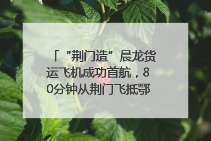 “荆门造”晨龙货运飞机成功首航，80分钟从荆门飞抵鄂州花湖机场