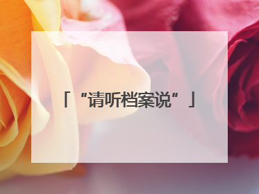 “请听档案说”