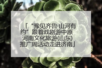 “豫见齐鲁·山河有约”跟着戏剧游中原 河南文化旅游(山东)推广周活动走进济南