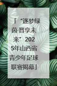 “逐梦绿茵·晋享未来”2025年山西省青少年足球联赛揭幕