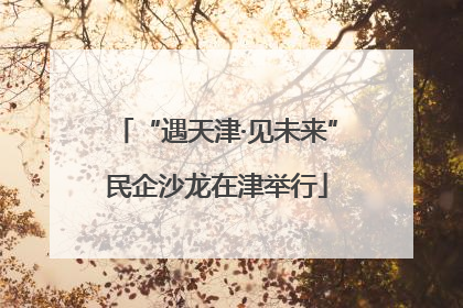 “遇天津·见未来”民企沙龙在津举行