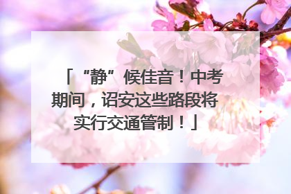 “静”候佳音！中考期间，诏安这些路段将实行交通管制！