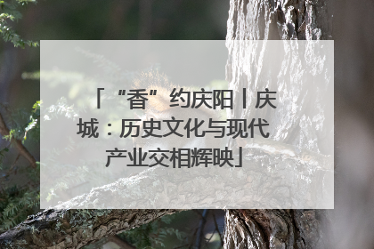 “香”约庆阳丨庆城：历史文化与现代产业交相辉映