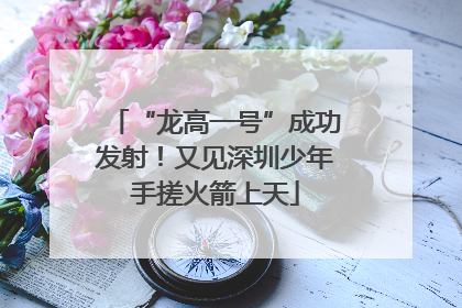 “龙高一号”成功发射！又见深圳少年手搓火箭上天